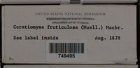 Image Associated With the Occurence